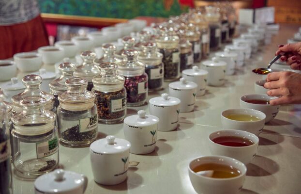 How to Start a Tea Export Business in Kenya: Licences, Grades and Finding Buyers