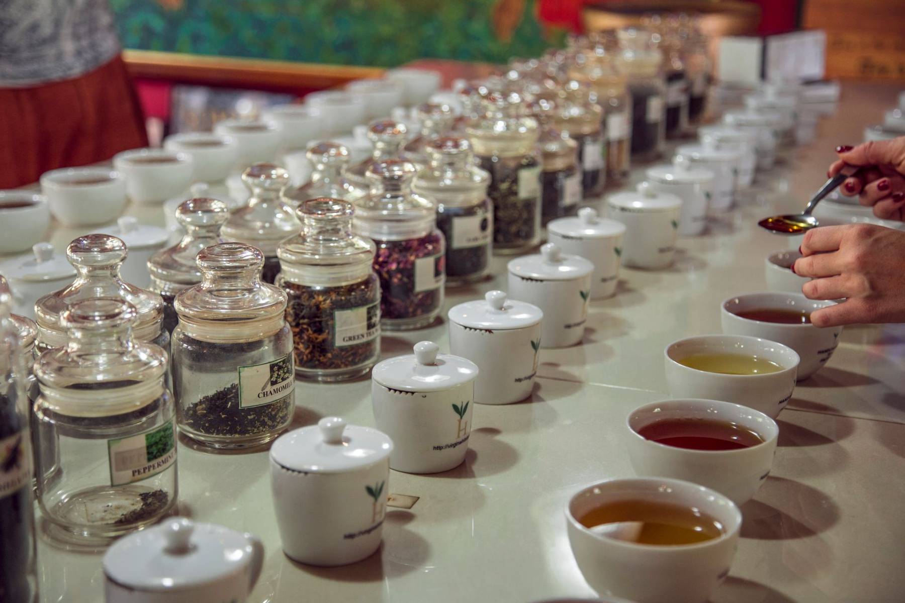 How to Start a Tea Export Business in Kenya: Licences, Grades and Finding Buyers